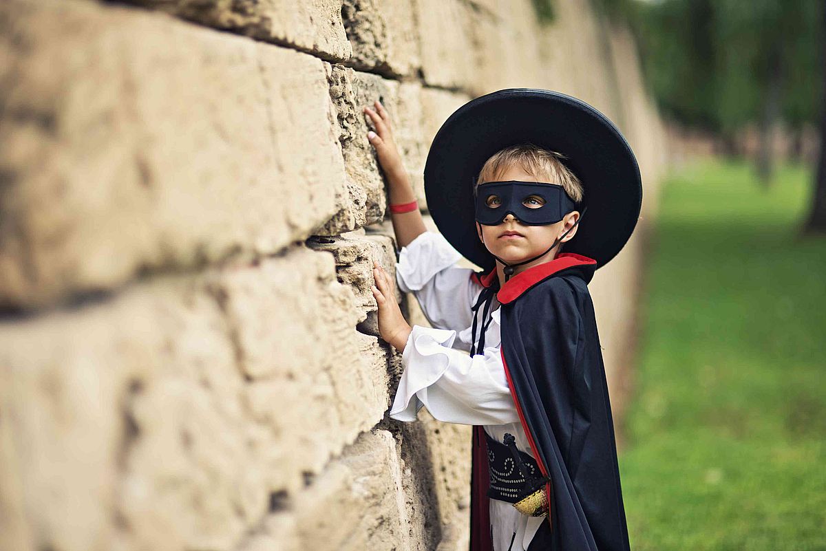 Zorro Zorro